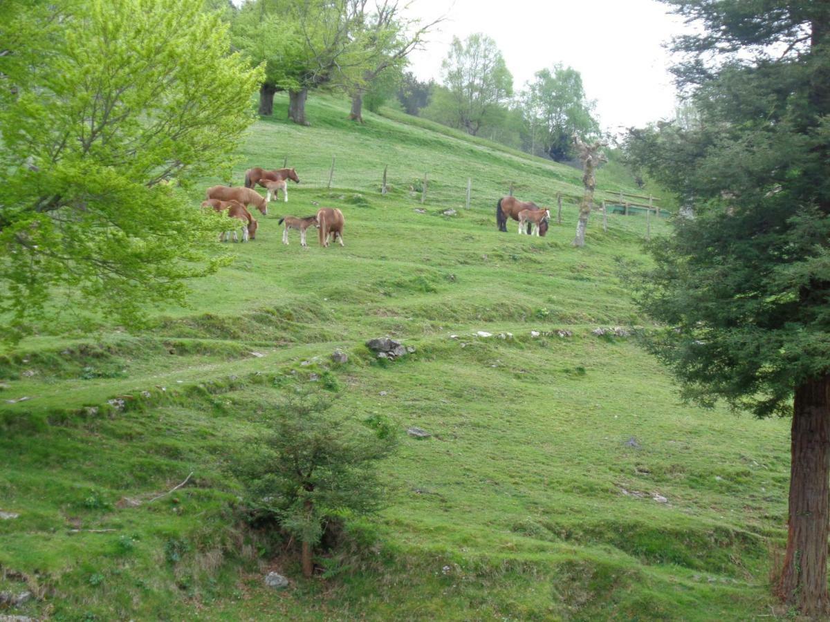 منزل الضيف Villabona  في Casa Rural Alustiza المظهر الخارجي الصورة